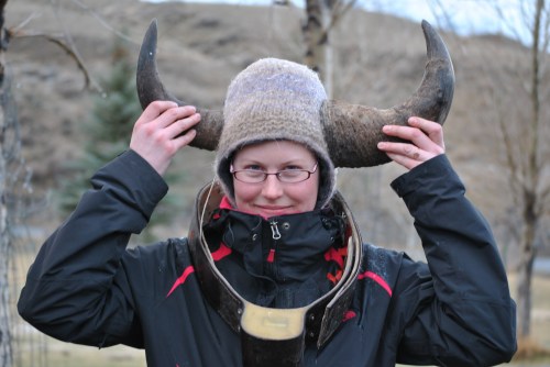 One of my colleagues illustrating the difference between cow (left) and bull (right) bison horns. She also sports a radio transmitter used to track an individual bison across the park.