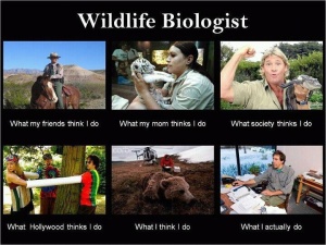 wildlife bio