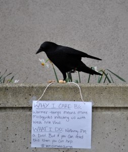 GO is a proud (albeit perhaps oblivious) participant in the #iamclimatechange campaign.