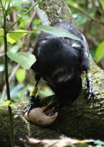 Photo: Matt Henschen