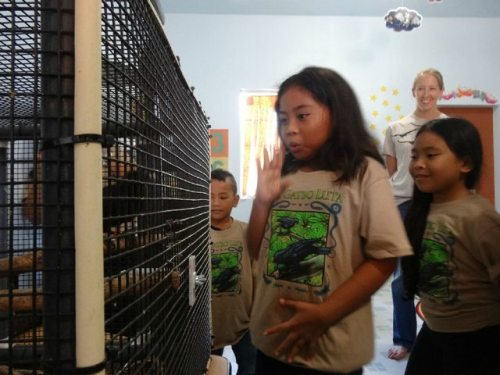 Sunny, Luta's educational Mariana crow captivates the students in a local school 