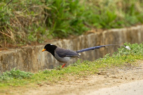 7210528510_03c9dfbc34_z