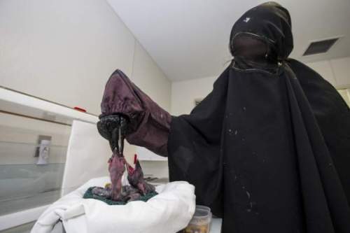 web1_t14_0414_028201481395339547