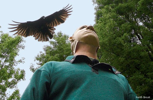 crow_maskedman_-Keith-Brust